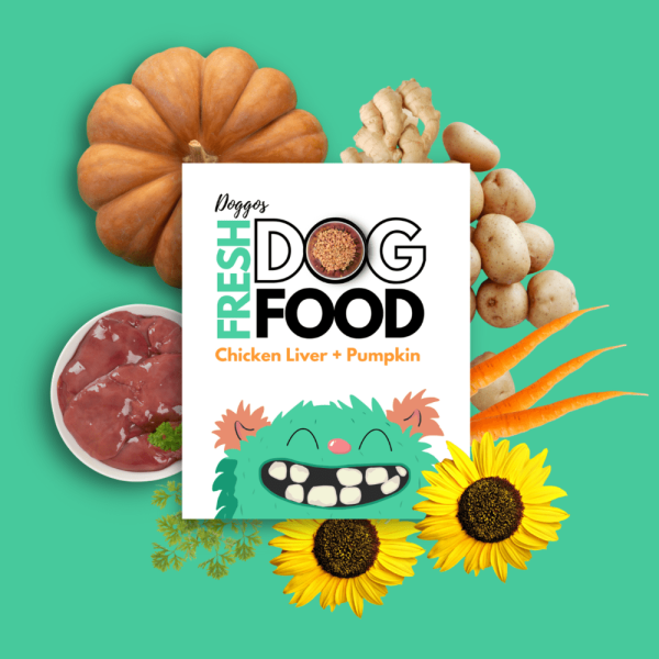 Doggos Mini Jumbo Monster Chicken and Pumpkin Fresh Dog Wet Food (Get Chicken Bone Broth Free) Online