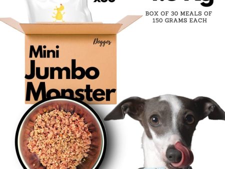 Doggos Mini Jumbo Monster Chicken and Pumpkin Fresh Dog Wet Food (Small Breeds) For Discount