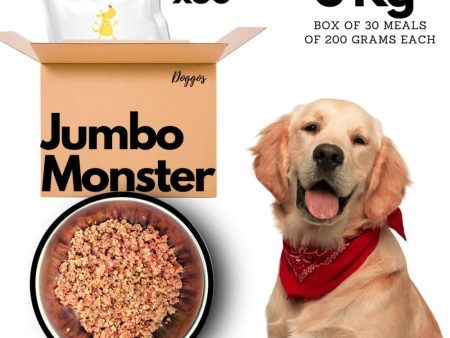 Doggos Jumbo Monster Chicken and Pumpkin Fresh Dog Wet Food (All Breeds) Online now