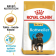 Royal Canin Rottweiler Puppy Dog Dry Food For Discount