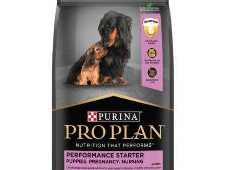 Pro Plan Chicken Mother and Puppy Starter Dog Dry Food (New Improved Formula) For Cheap