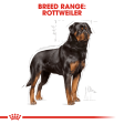 Royal Canin Rottweiler Adult Dog Dry Food on Sale