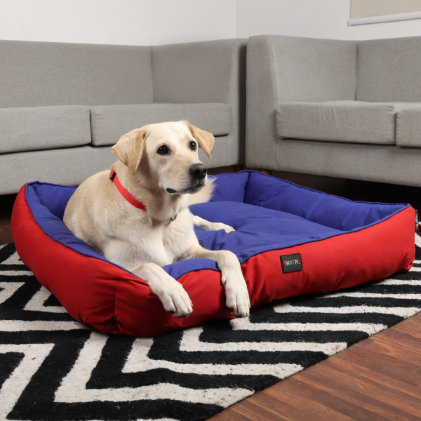 Skatrs Square Shaped Bed for Dogs & Cats (Red & Blue) Discount