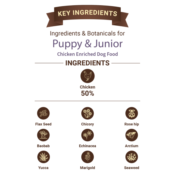 Bruno s Wild Essentials Puppy & Junior Dog Dry Food Online