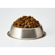 Acana Large Breed Puppy Dry Food Online Sale