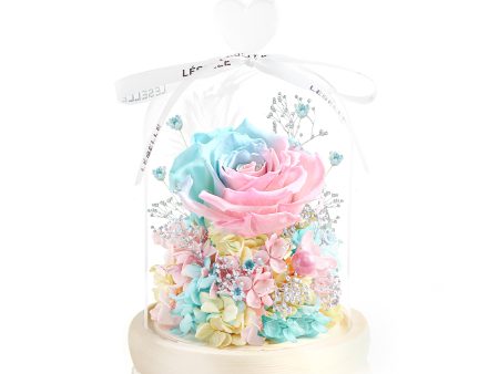 Enchanted Preserved Rose - Tiffany Blue   Baby Pink Fashion