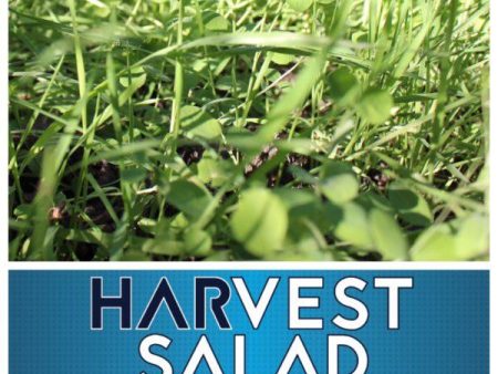 Real World Whitetail Harvest Salad on Sale