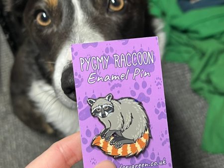 *Seconds Sale* Pygmy Raccoon Hard Enamel Pin For Cheap