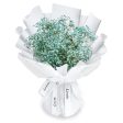 Fresh Flower Bouquet - Green Baby s Breath (M) Cheap