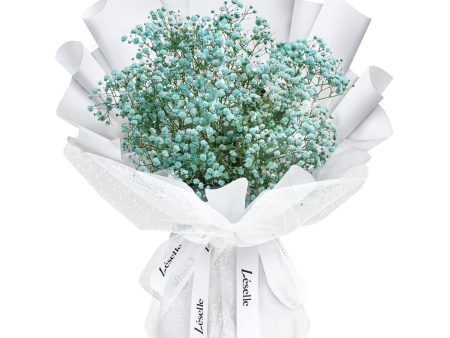 Fresh Flower Bouquet - Green Baby s Breath (M) Cheap