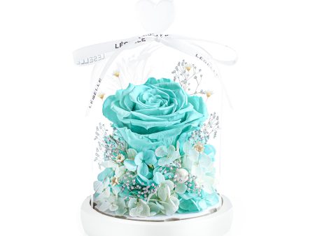 Enchanted Preserved Rose - Tiffany Blue Online now