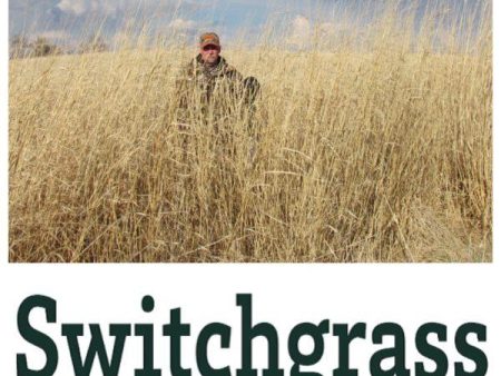 Real World Switchgrass Online Sale