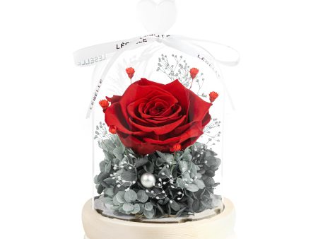 Enchanted Preserved Rose - Classic Red   Grey Green Fashion