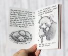 The Mini Guide to Red Pandas ~  50p goes to Red Panda Network! Sale