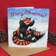 Snowfight Red Pandas Christmas Card Online Sale