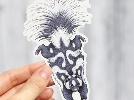 Spotted Skunk Vinyl Sticker Online Sale