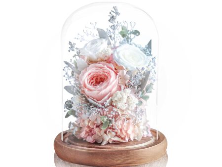 Preserved Rose Magical Bell Jar - White   Champagne Online