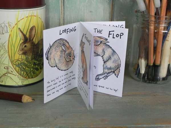 The Tiny Little Book of Bunny Behaviour Fashion