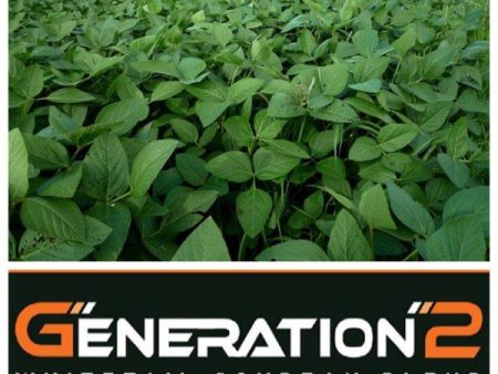 Real World Generation-2 Soybeans (50 lb. Bag) For Sale