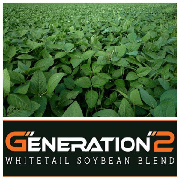 Real World Generation-2 Soybeans (50 lb. Bag) For Sale