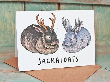 Jackaloafs Card Hot on Sale