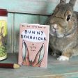 The Tiny Little Book of Bunny Behaviour Fashion