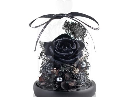 Enchanted Preserved Rose - Black Fashion