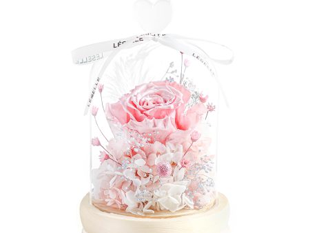 Enchanted Preserved Rose - Pearl Pink Supply