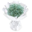 Fresh Flower Bouquet - Green Baby s Breath (L) Discount