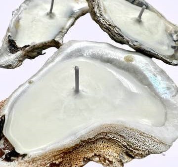 Real Oyster Shell with wax candle inside Hot on Sale