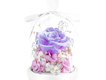 Enchanted Preserved Rose - Lilac Fashion