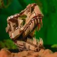 MOC NON  2024 Fit 76964 Model Dinosaur Fossils T.rex Skull Building Blocks Bricks Assembled Bricks Educational Bricks Sale