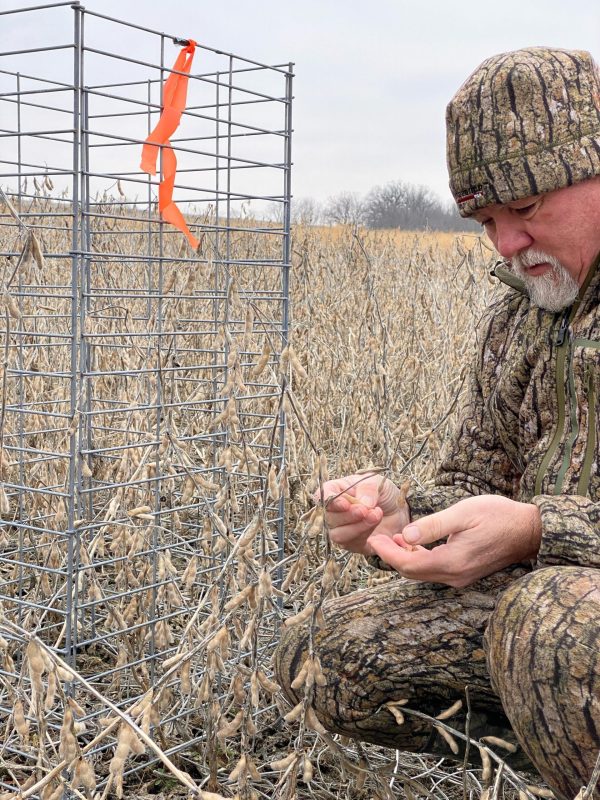 Real World ENLIST Soybean Food Plot Blend Online now