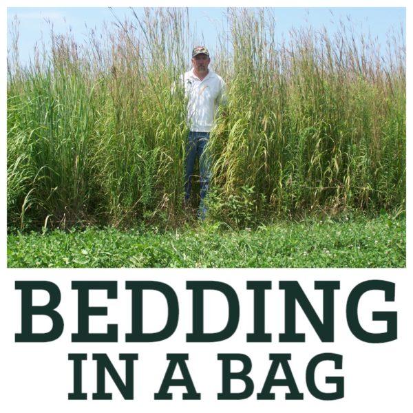 Real World Bedding in a Bag Fashion