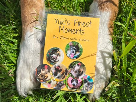 Yuki s Finest Moments Sticker Pack For Cheap