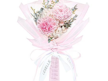 Mini Preserved Carnation Bouquet - Pale Pink For Discount