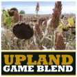 Real World Upland Game Blend Fashion