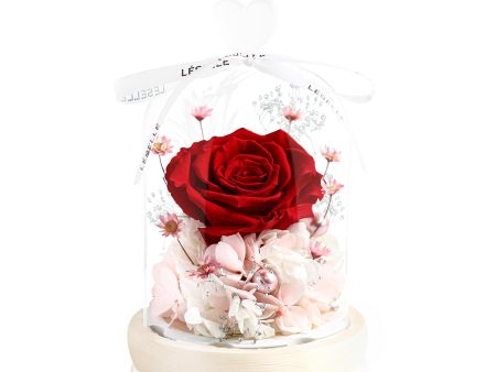 Enchanted Preserved Rose - Classic Red   Pale Pink Online