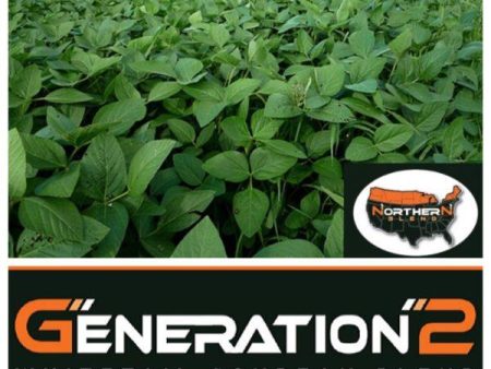 Real World Northern Soybeans Online Sale