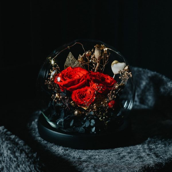 Preserved Rose Glass Ball - Classic Red Fashion