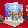 Rabbit Christmas Card 8 Pack ~ £1 goes to Rabbit Rescue North West Sale