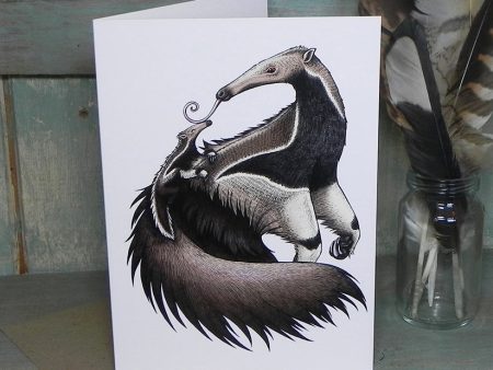 Giant Anteaters Card For Sale