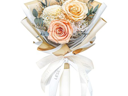 Mini Preserved Rose Bouquet - Champagne Discount