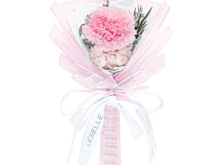 Preserved Carnation Bundle - Blush Pink Online Sale