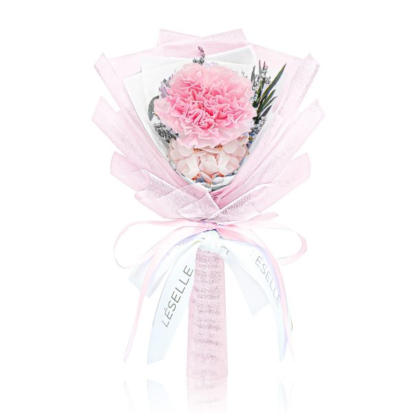 Preserved Carnation Bundle - Blush Pink Online Sale