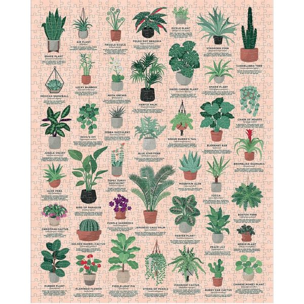 1000 Piece Ridley s Jigsaw Puzzle - House Plants Cheap