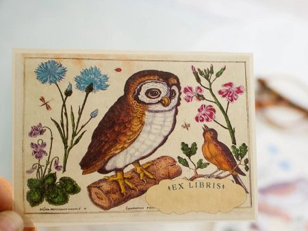 Owl + Singing Bird Bookplates Set of 10 Sale